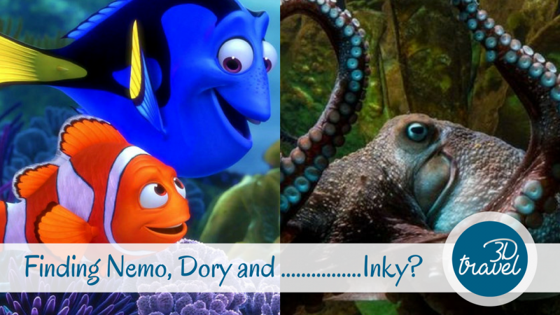 Finding-Nemo-Dory-Inky-Cover
