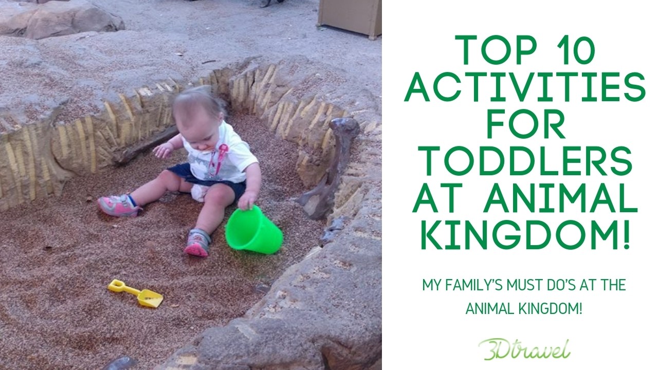 The Top 10 Toddler Activities at Animal Kingdom - 3D Travel Company